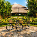 Bamboo Bike