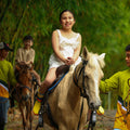 Horseback Riding